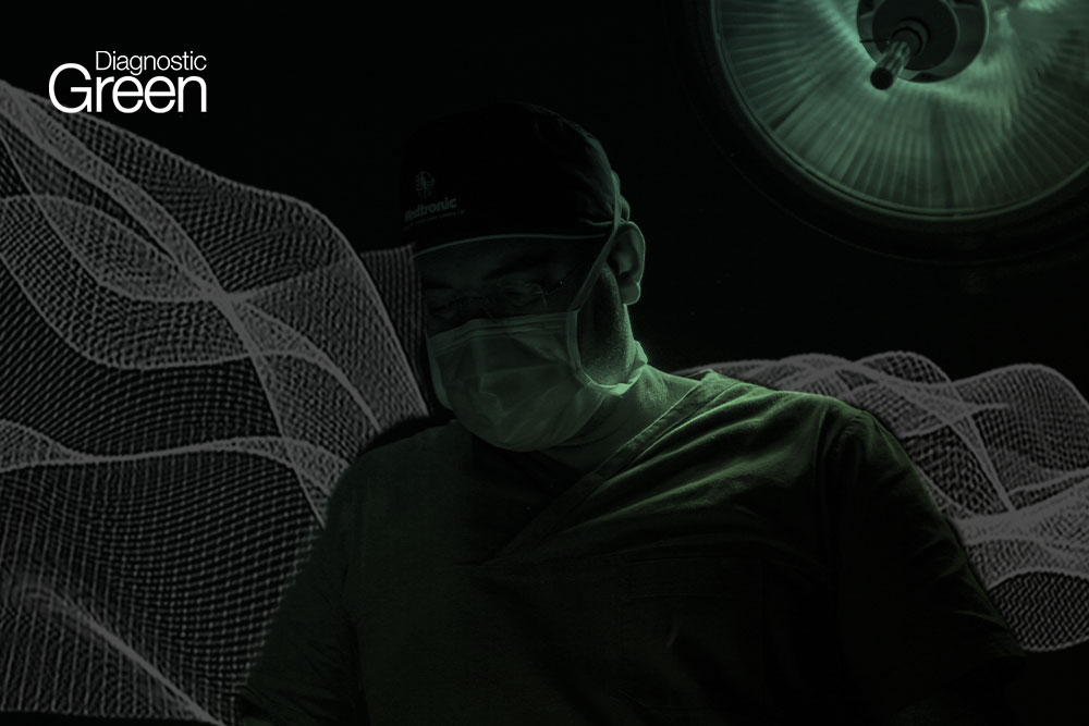 indocyanine green fluorescence angiography