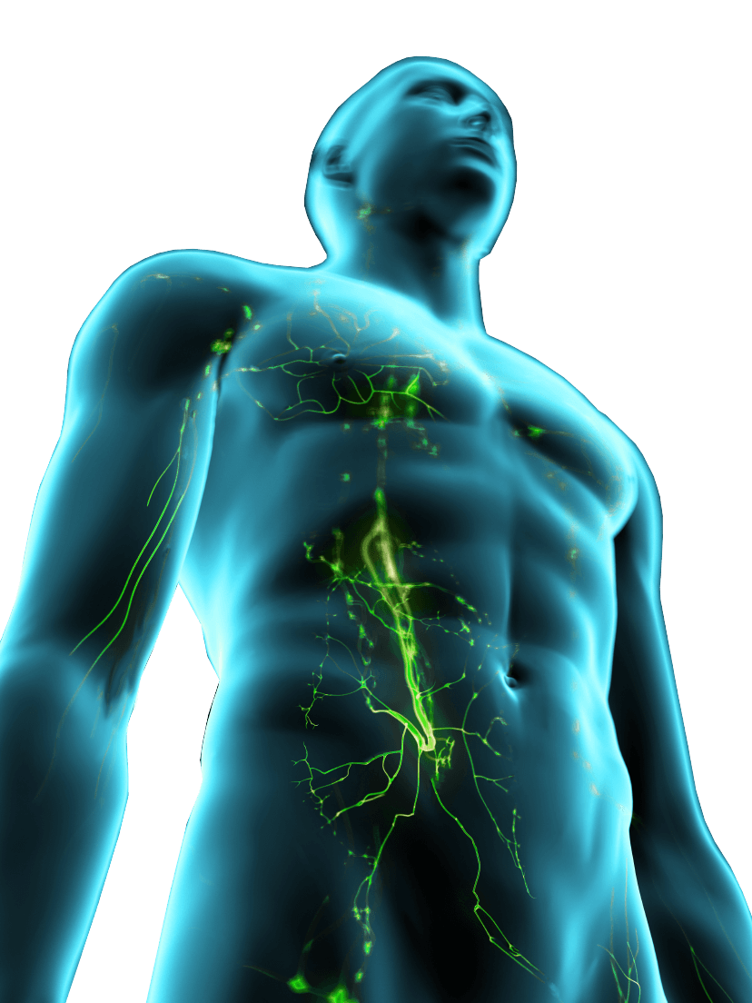 approved indications 3D image using ICG dye