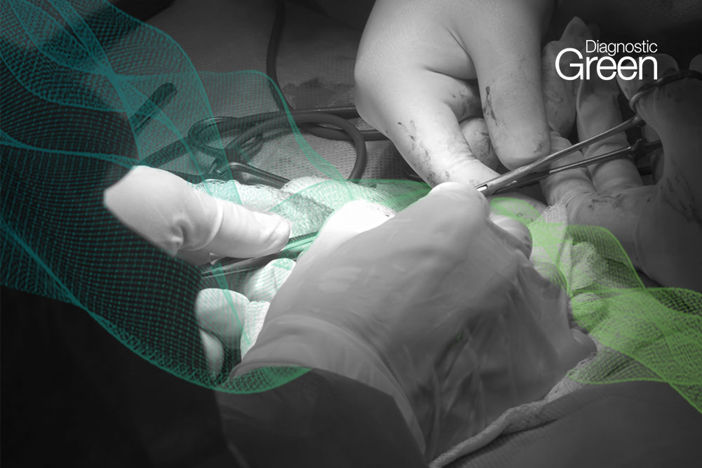 close up of hands working on patient