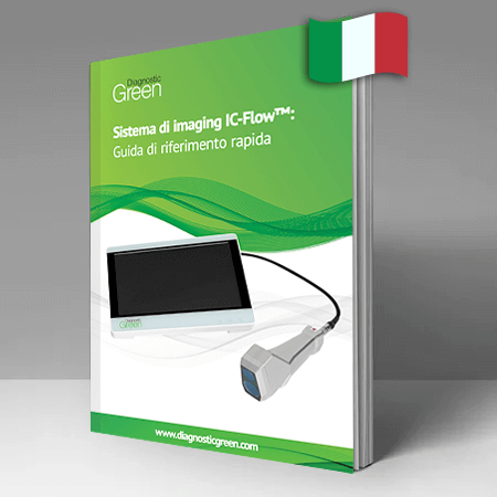 ic-flow booklet italian
